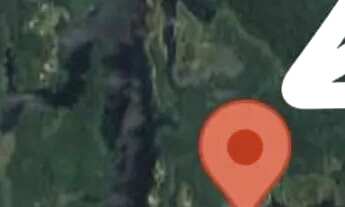 Imagem 4: LAGO DO UBIN - TERRENO COM 78.903M2, CASA COM 2 QUARTOS, VARANDA E ÁRVORES FRUTÍFERAS