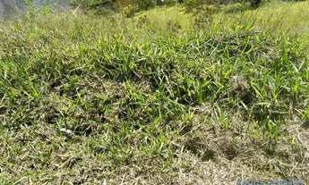 Imagem 3: TERRENO EM CONDOMÍNIO - CONDOMÍNIO HILLS 3 - SP