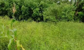 Imagem 7: Terreno à venda com 1.500m² no Chácaras Caxingui Embu das Artes/SP