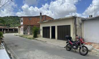 Imagem 11: Cana em Fernão velho