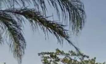 Imagem 3: TERRENO EM CONDOMÍNIO - CONDOMÍNIO JARDIM DAS PALMEIRAS - SP