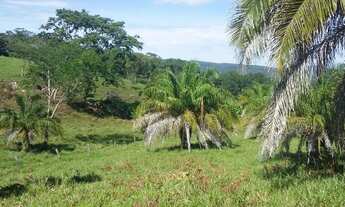 Imagem 7: 10 alqueires 172 km de Goiânia