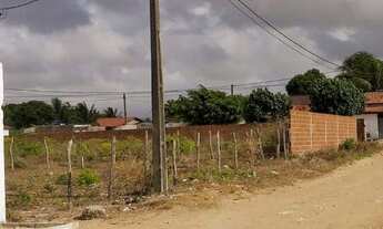 Imagem 3: Exclusividade - Terreno - 1.000m2 - Parque das Arvores