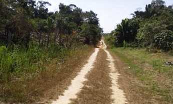 Imagem 5: Excelente área de terras de matas, rica de água