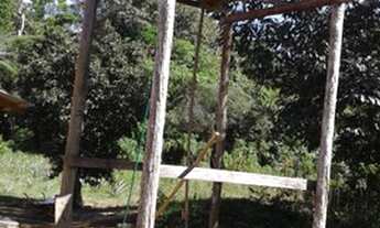 Imagem 6: Excelente área de terras de matas, rica de água