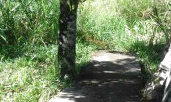 Imagem 2: Casa à venda no sana oportunidade área Central