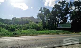 Imagem 6: SãO FRANCISCO DO SUL - Terreno Padrão - Rocio Grande