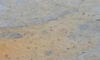 Imagem 3: Galpão/Depósito/Armazém para aluguel com 150 metros quadrados em Henrique Jorge - Fortalez