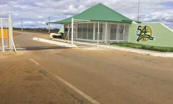 Imagem 2: LOTE AGRÍCOLA ESCRITURADO À VENDA EM PETROLINA-PE (LOTE IRRIGADO PELA CODEVASF