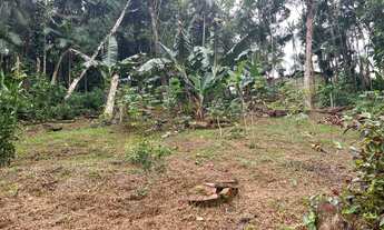 Imagem 6: Casa para venda com 627 metros quadrados com 3 quartos em Centro - Morretes - PR