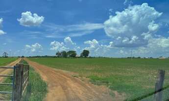 Imagem 4: Fazenda/Sítio/Chácara para venda 8,5 alq beira do asfalto