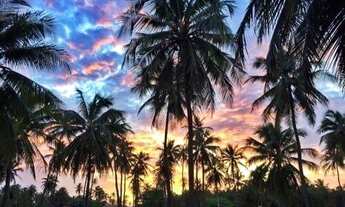 Imagem 2: Terreno para Venda em Amontada, Icarai de Amontada