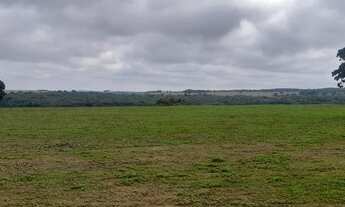 Imagem 2: Fazenda Município Ipameri - GO