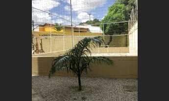 Imagem 2: Candido Maio térreo