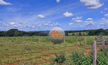 Imagem 6: Fazenda à venda, 798600 m² - Zona Rural - Jaraguá/Goiás