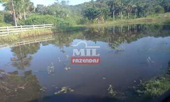 Imagem 3: FAZENDA 102 ALQUEIRES (493 hectares) BOM JARDIM DE GOIÁS - GO