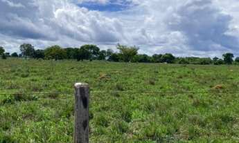 Imagem 2: Fazenda a venda com 154 alqueires em Nova Crixas - GO