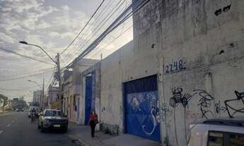 Imagem 2: Aluga-Se Galpão Na Av. Da Universidade