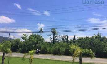 Imagem 5: Terreno Industrial à venda, Salseiros, Itajaí -