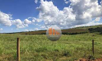 Imagem 2: Fazenda à venda, 405 alqueires por R$ 81.000.000 - Ipameri/GO