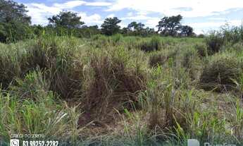 Imagem 6: Fazenda com potencial para agricultura no Pium-TO
