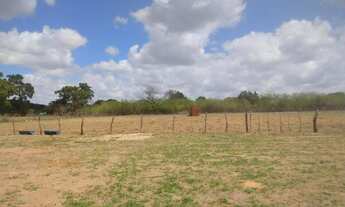 Imagem 3: Granja com 4.7 hectares entre Macaíba e vera cruz
