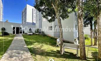 Imagem: CAXIAS DO SUL - Apartamento Padrão - Salgado