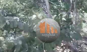 Imagem 2: Fazenda à venda, 1.480 alqueires por R$ 51.800.000 - Araguapaz/GO