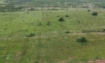 Imagem 2: Venda Fazenda Região Nova Mutum- 74.3000.000m² - Geo - Car - Nova Mutum/Sta Rita Trivelato