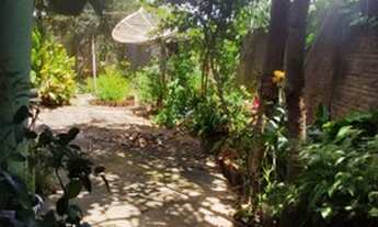 Imagem 6: Casa setor Buriti sereno ( Aparecida de Goiânia