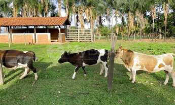 Imagem 3: CHÁCARA NO LAGO DAS BRISAS