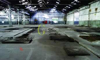 Imagem 7: Galpão/Depósito/Armazém