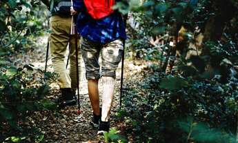 Imagem: Terreno à venda, 1000 m² - Vila Alpina