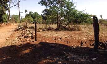 Imagem 2: Área com 9.860 m² ao lado da GO - 070 Saída para Goianira