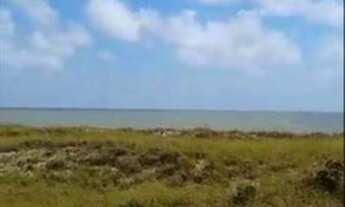 Imagem 5: Vendo terreno beira mar de lucena