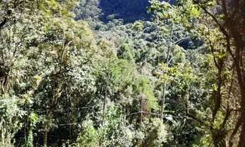 Imagem 3: Vendo Maravilhoso Terreno