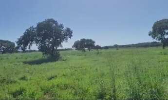 Imagem 2: Fazenda de 600 Alqueires em Lagoa da Confusão-TO