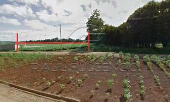 Imagem 5: Londrina - Terreno Padrão - Estância Dellaville