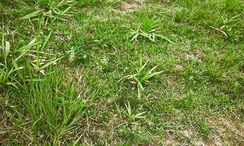 Imagem 2: Terreno plano para venda com 328m2 em Vale dos Cristais - Macaé/RJ