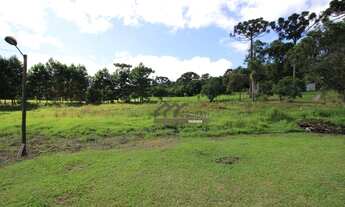 Imagem 5: Chácara com 1 dormitório à venda, 25892 m² por R$ 1.399.000,00 - Borda Do Campo - São José