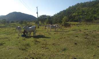 Imagem 7: Fazenda para venda possui 59 alq. munícipio de Fazenda Nova/GO