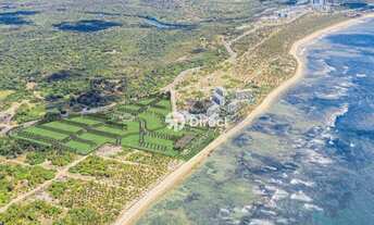 Imagem 4: Lotes na Reserva do Paiva | A partir de 425m²