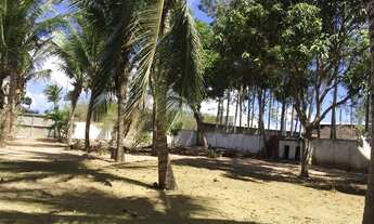 Imagem 3: Alugo casa para comércio