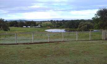 Imagem 5: Fazenda - Itapirapuã (GO