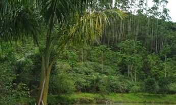 Imagem 6: Sítio a venda - Nova Trento - SC