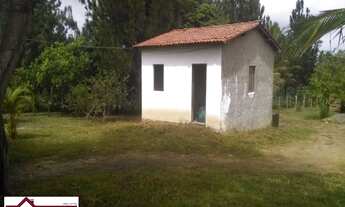 Imagem 3: SITIOMata de São João