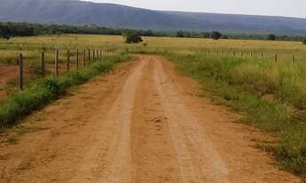 Imagem 7: Venda Fazenda Região Nova Mutum- 74.3000.000m² - Geo - Car - Nova Mutum/Sta Rita Trivelato