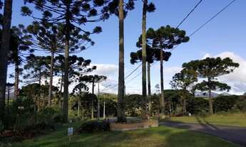 Imagem 7: Terreno com 1846,80m² em Piraquara - Condomínio Residencial Betaville