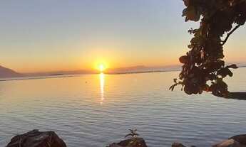 Imagem: Lote/Terreno para venda possui 290 metros