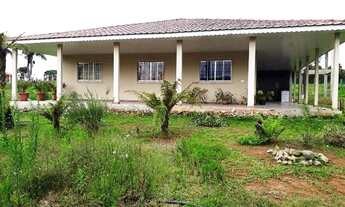 Imagem 2: Excelente chacara com 6,000 m2 com casa 285 m2 380,000 faxina